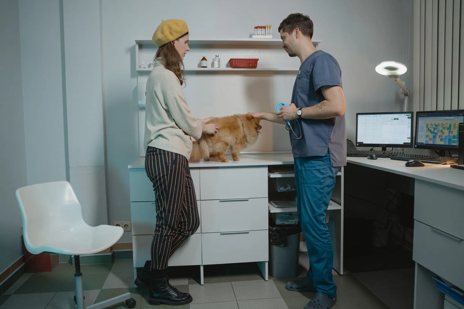 Tutora e veterinário conversando durante consulta, com um lulu da pomerânia sobre a mesa de exame