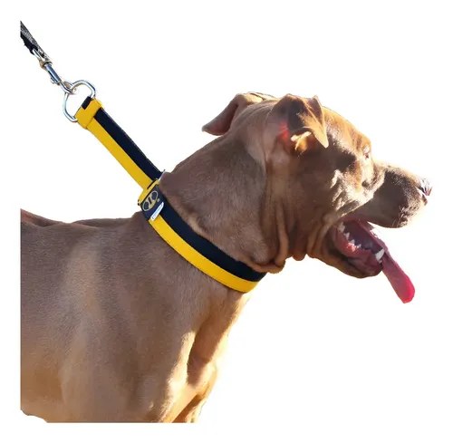 Coleira Reforçada Amorosso para Cães Grandes e Gigantes com Fivela de Aço, GG