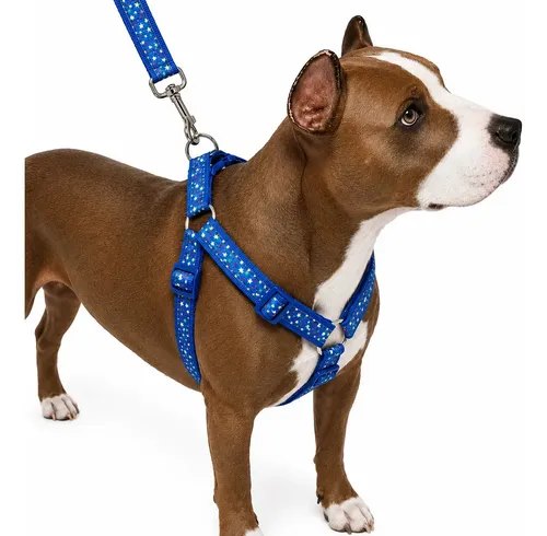 Guia Peitoral Coleira Cachorro Médio Grande Porte Mosquetão Aço